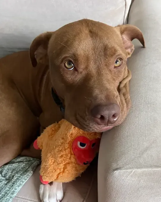 imgi 29 UGC Review IMG tommyk