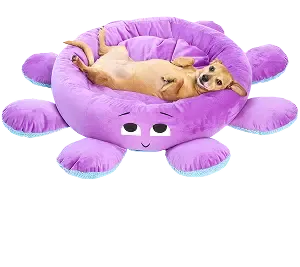 imgi 52 ollie bed tile