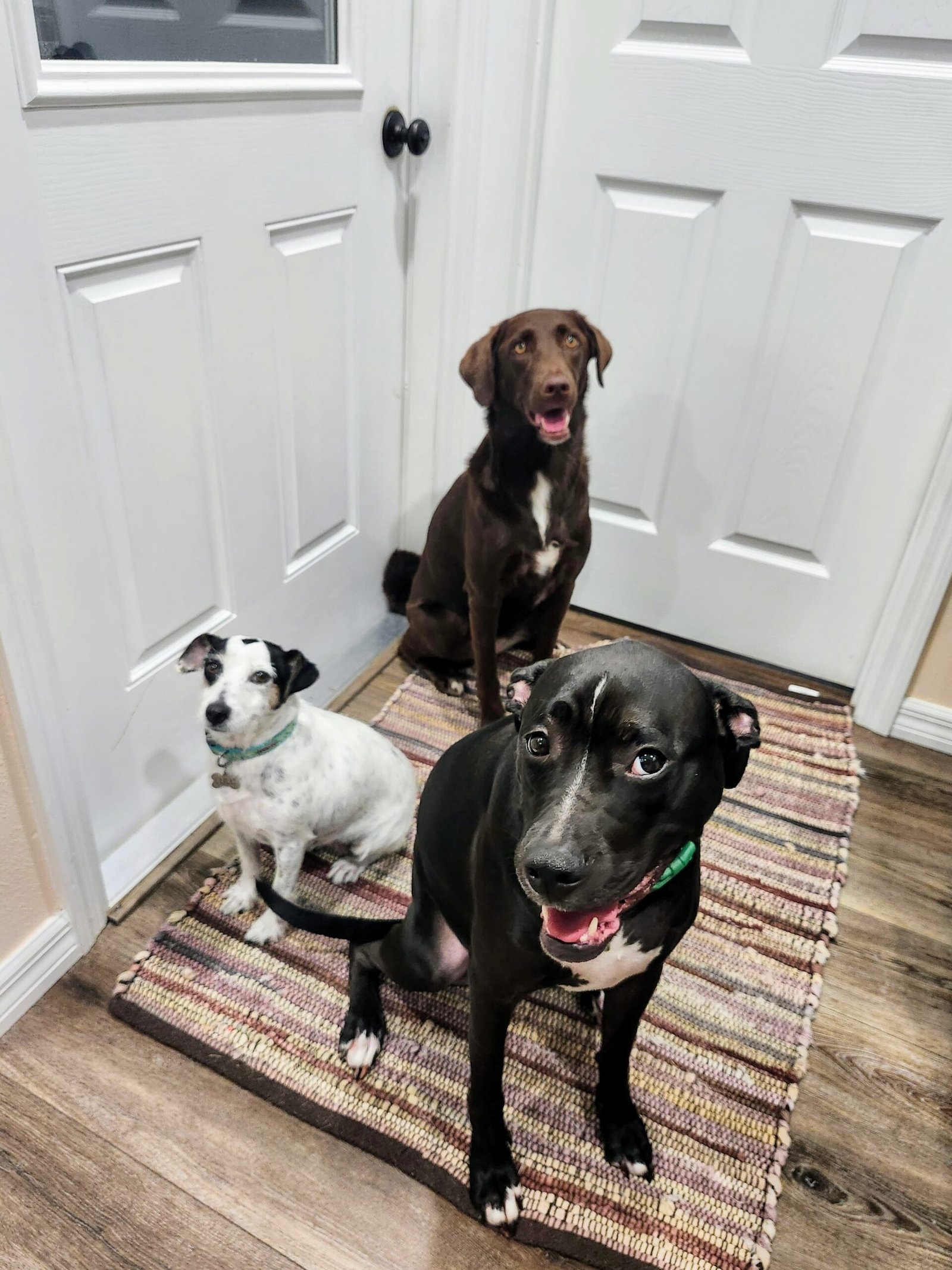 imgi 29 lulus scaled